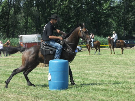 2011lókötők 2