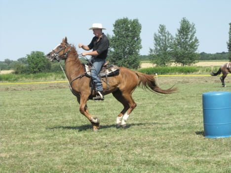 2011lókötők 5