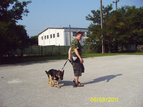 Kép 414