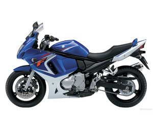 suzuki-011