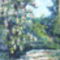 2006.06.28. A viragzo gesztenyefa Csorvas,kozvetlen,42x32XX.AMATOR ARTIUM megyei versenyen reszt vett