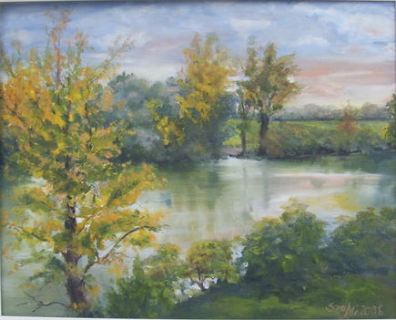 2011 (20)