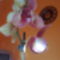 Orchidea1