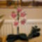 roszaszinű orchidea