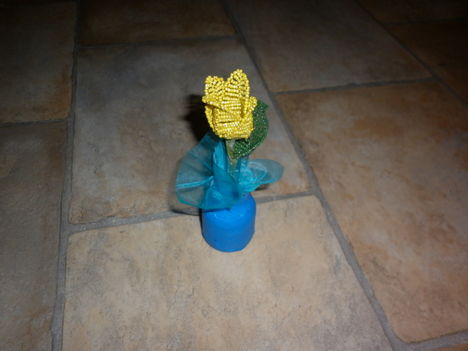 tulipán