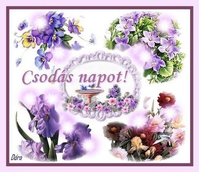 CSODÁS NAPOT!