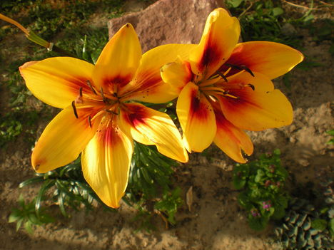 Kép 016