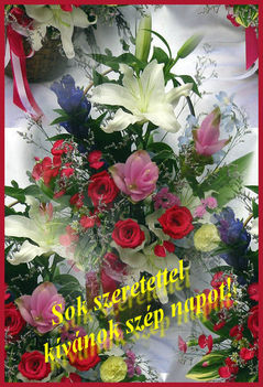 Sok szretettel kívánok szép napot!
