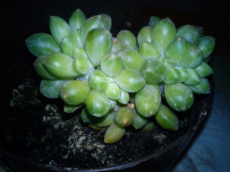 DSC00890
