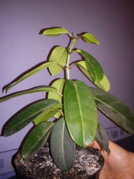 DSC00902