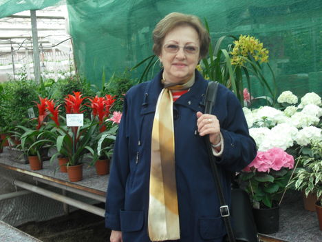 Mártély 274