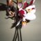 Phalaenopsis 11