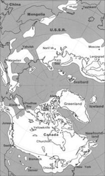 220px-Pleistocene_north_ice_map