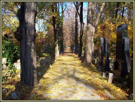 248 - Magyarország - Budapest, a Farkasréti Temető egy sétánya ősszel