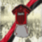 focifc_milan