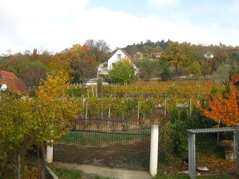 őszi szinek