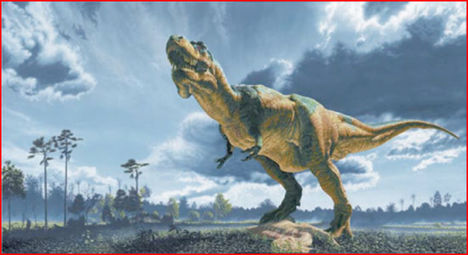 071009trex