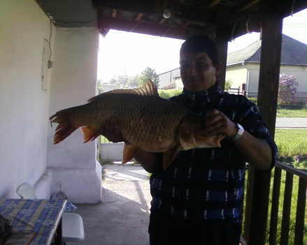 2011 .horgászat