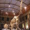 450px-Naturkundemuseum_Brachiosaurus_brancai