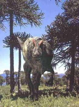Allosaurus