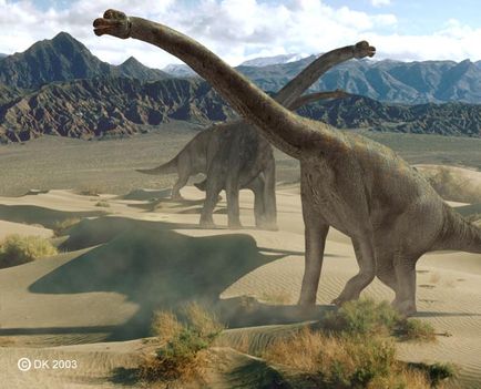 Brachiosaurus1913f7