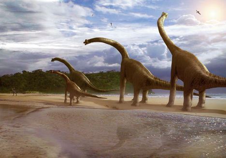 BrachiosaurusFULL8f6d6
