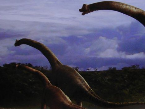 BrachiosaurusL20890d
