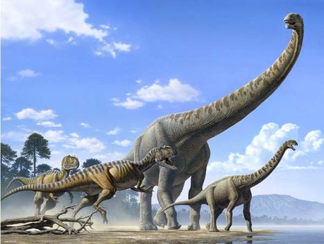 Chuanjiesaurus7a044