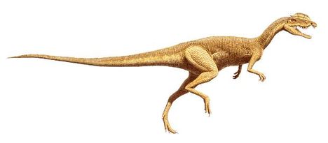 dilophosaurus2