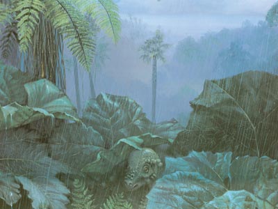 dinosaurimages014resize80c30