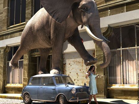 elefant_hatterkepek_4-800x600