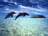 Firefox_wallpaper