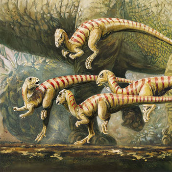 leaellyasaura43551