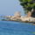 omis