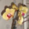 Phalaenopsis 37