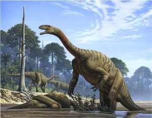 Plateosaurus11402890925B1c0922