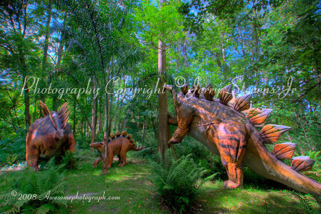 stegosaurus_dinosaur_wolrld_040108_sig