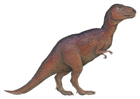 trex