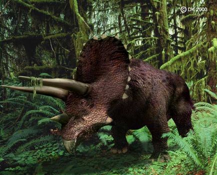 Triceratops14ca59