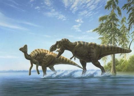 Tyrannosaurus20and20Hypac4fa4a