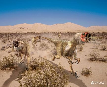 Velociraptor1