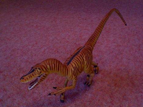 velociraptor_safari