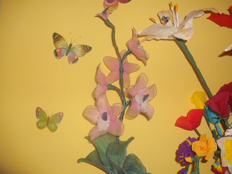 Harisnya orchidea