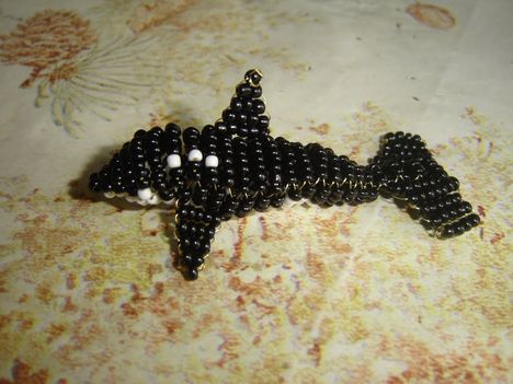 Kardszárnyú delfin