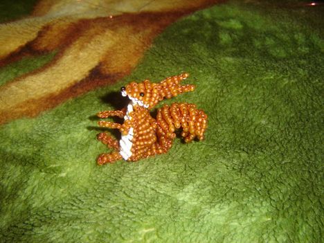 Mókus