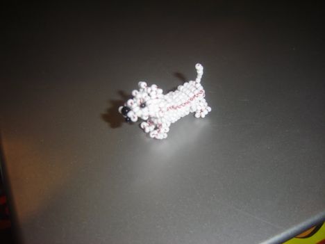 Westie