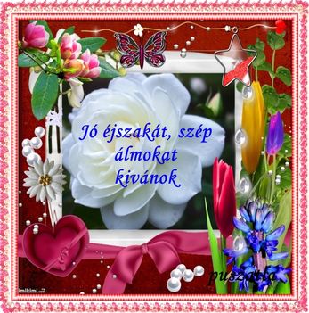www_tvn