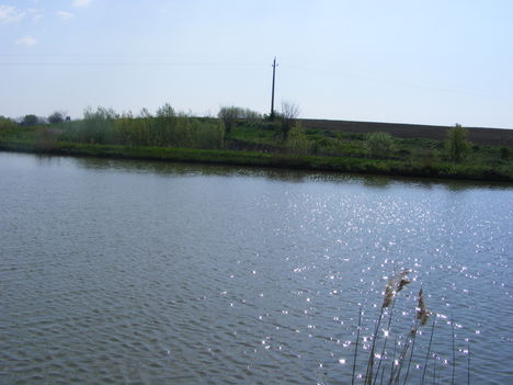 051