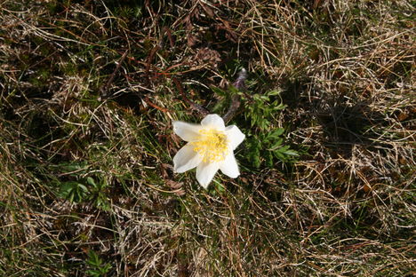 2011.oktober.Teleki-Nagyköves csúcs