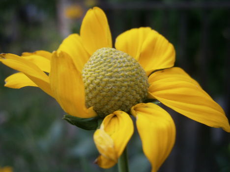 P7190347